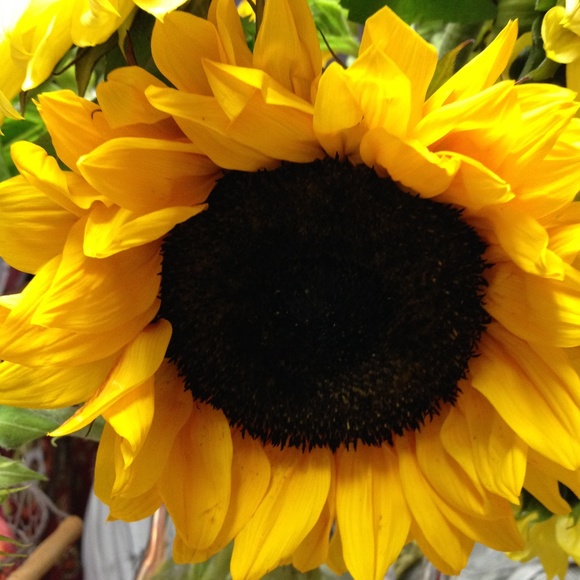 Meet your Posher, Maria - Picture 6 of 8